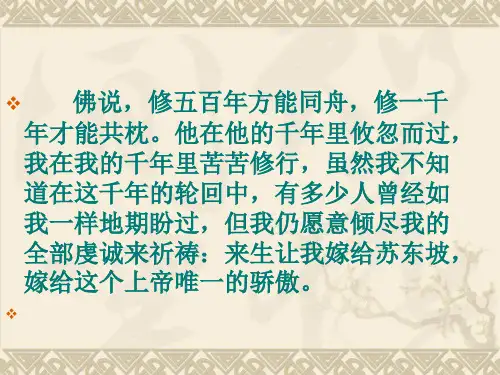 苏轼《定风波》 ppt课件