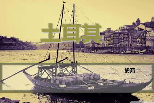 土耳其ppt改