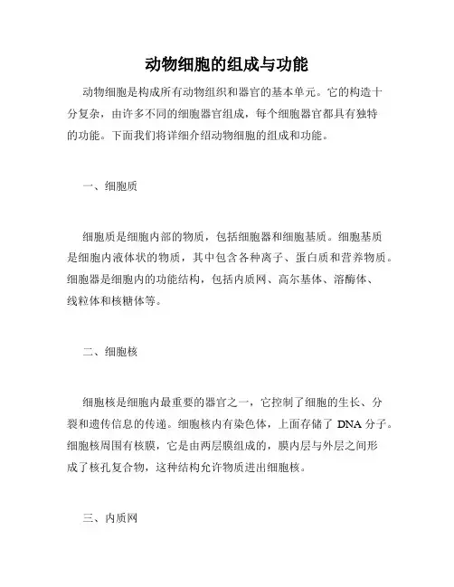 动物细胞的组成与功能