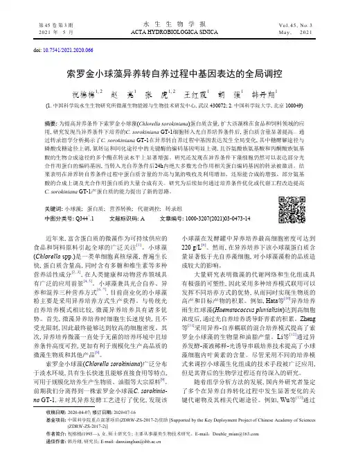 索罗金小球藻异养转自养过程中基因表达的全局调控