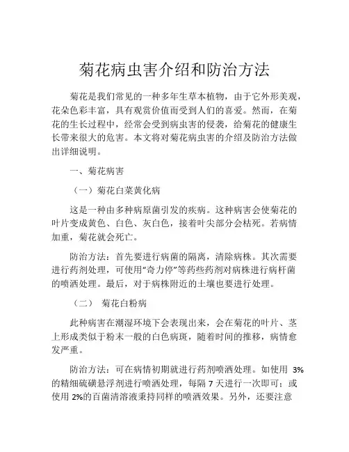 菊花病虫害介绍和防治方法