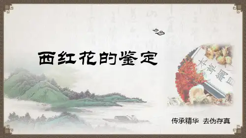 中药鉴定技术-西红花的鉴定教学课件