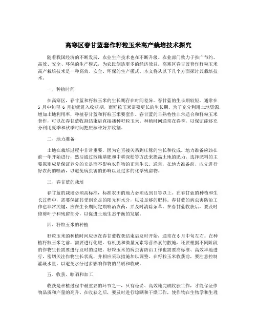高寒区春甘蓝套作籽粒玉米高产栽培技术探究