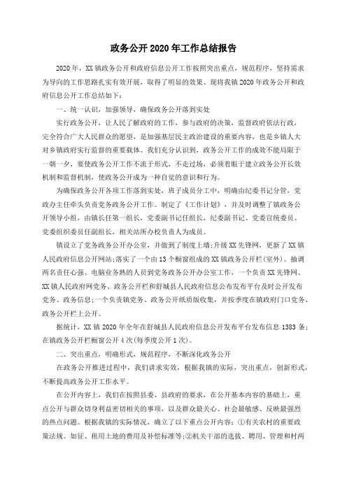 政务公开2020年工作总结报告