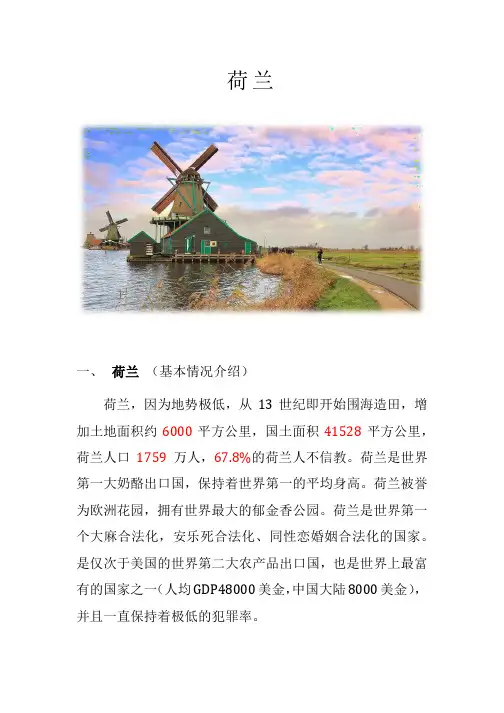 荷兰 (国家)