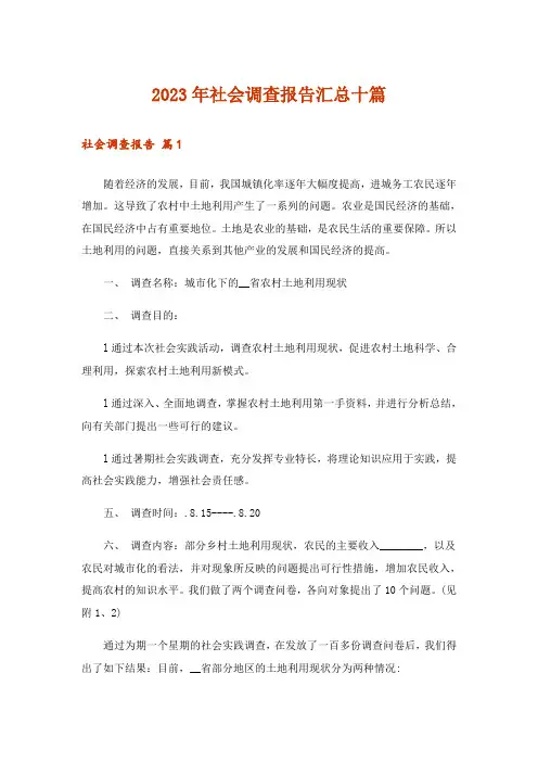 2023年社会调查报告汇总十篇