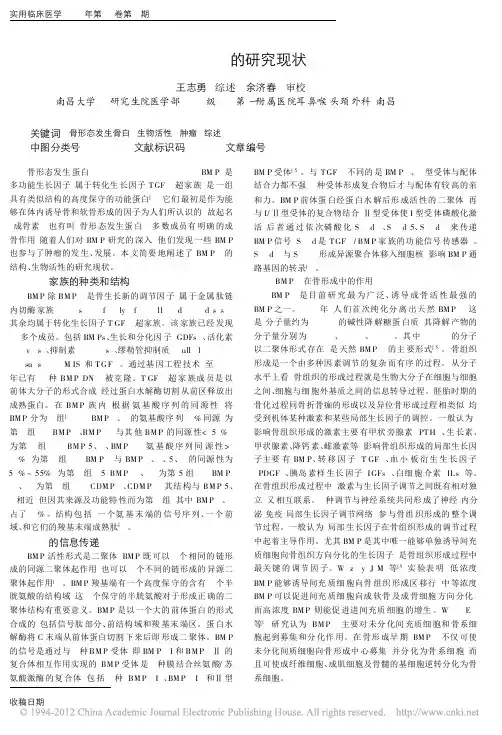 BMP_2的研究现状