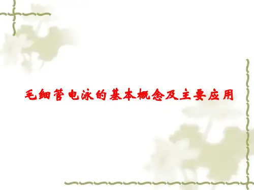 第五章毛细管电泳