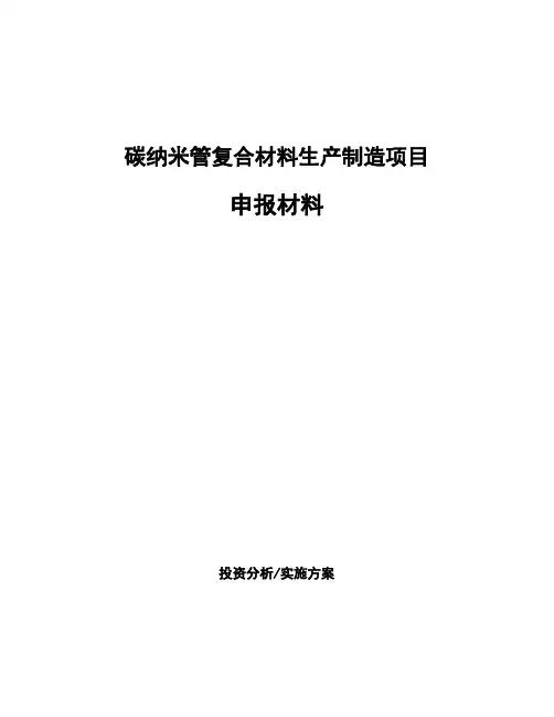碳纳米管复合材料生产制造项目申报材料
