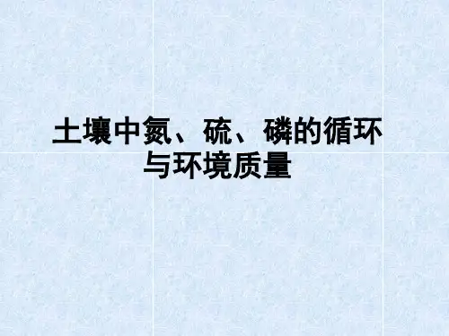 土壤中氮、硫、磷的循环与环境质量