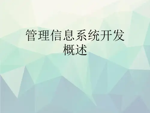 管理信息系统开发概述 演示文稿ppt