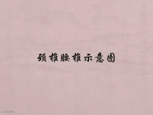 颈椎腰椎示意图PPT课件