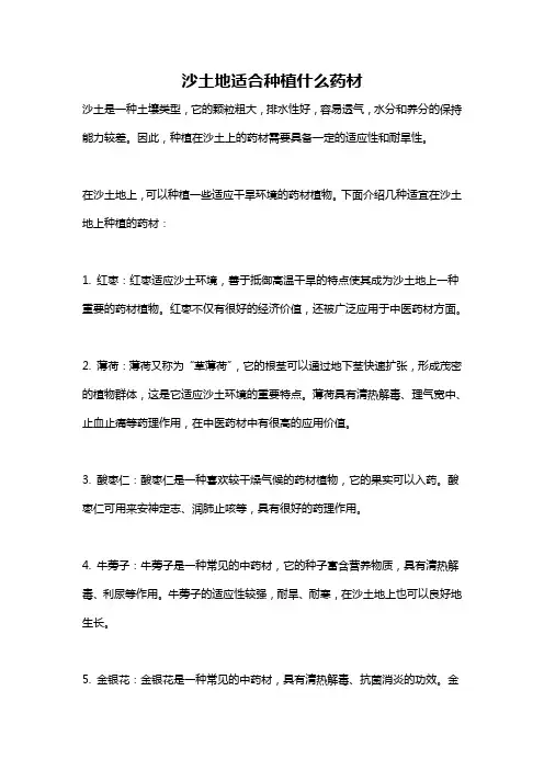 沙土地适合种植什么药材