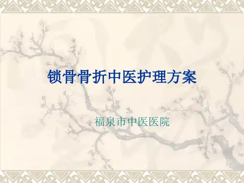 锁骨骨折中医护理方案