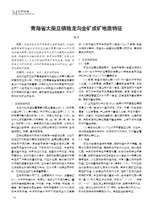 青海省大柴旦镇独龙沟金矿成矿地质特征