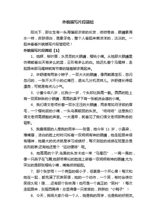 外貌描写片段简短