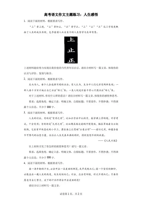 高考语文作文主题练习：人生感悟