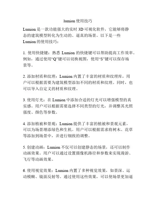 lumion使用技巧