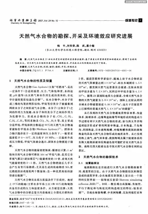 天然气水合物的勘探、开采及环境效应研究进展