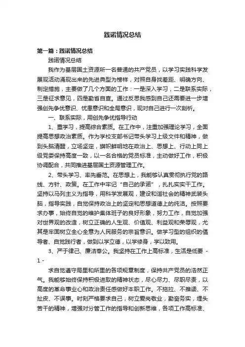 践诺情况总结