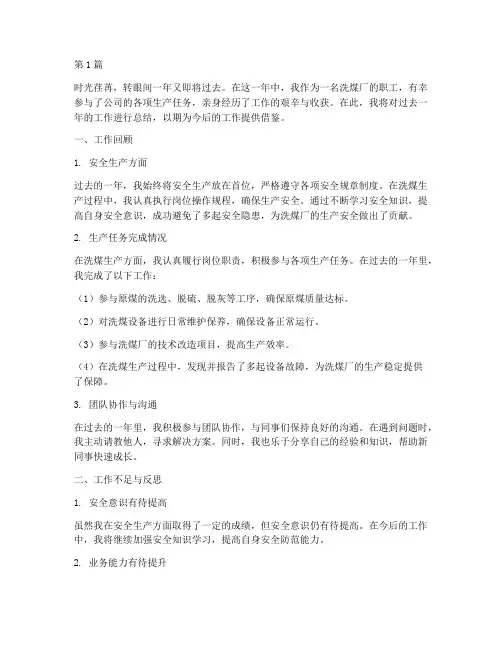 洗煤厂职业年度总结(3篇)