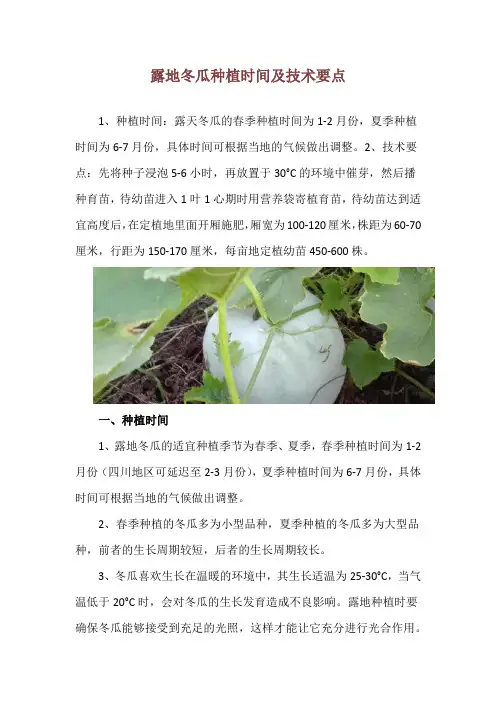 露地冬瓜种植时间及技术要点