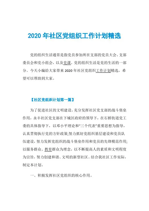 2020年社区党组织工作计划精选