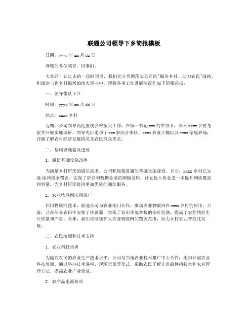 联通公司领导下乡简报模板