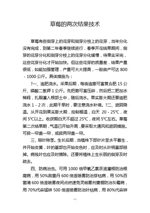 草莓的两次结果技术