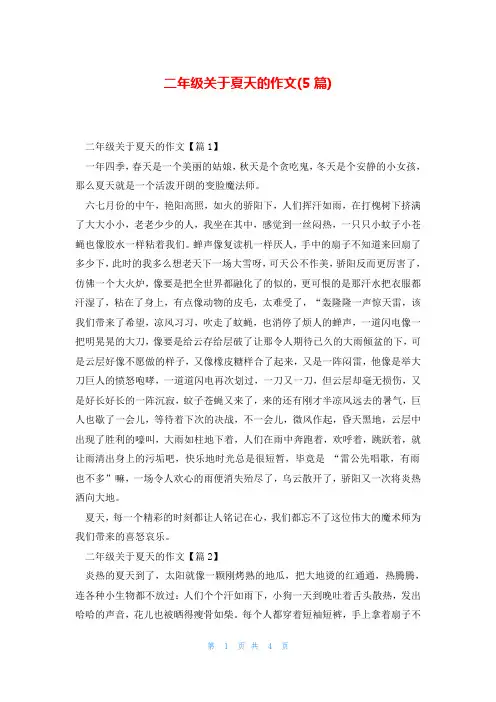 二年级关于夏天的作文(5篇)