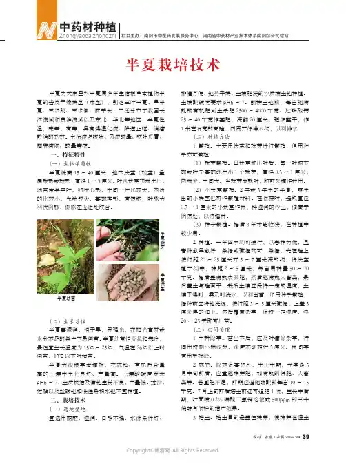 半夏栽培技术