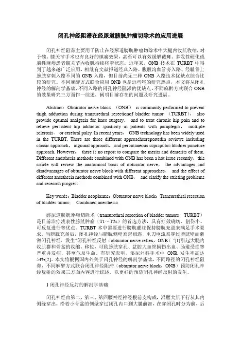 闭孔神经阻滞在经尿道膀胱肿瘤切除术的应用进展