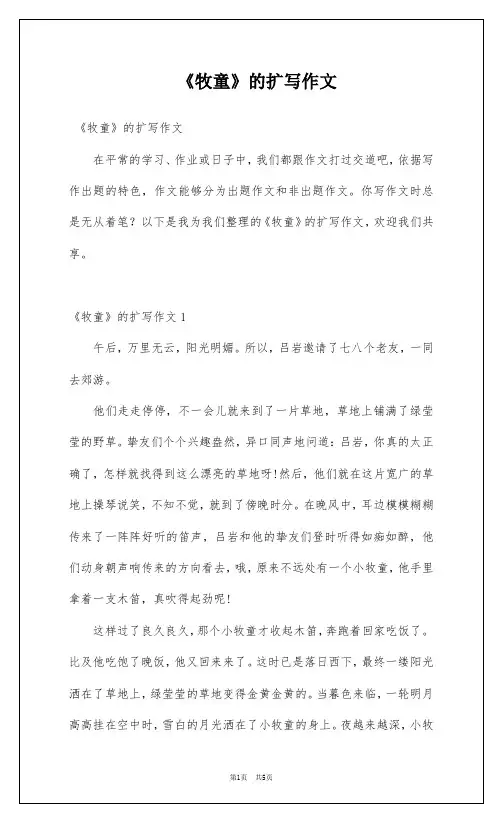 《牧童》的扩写作文