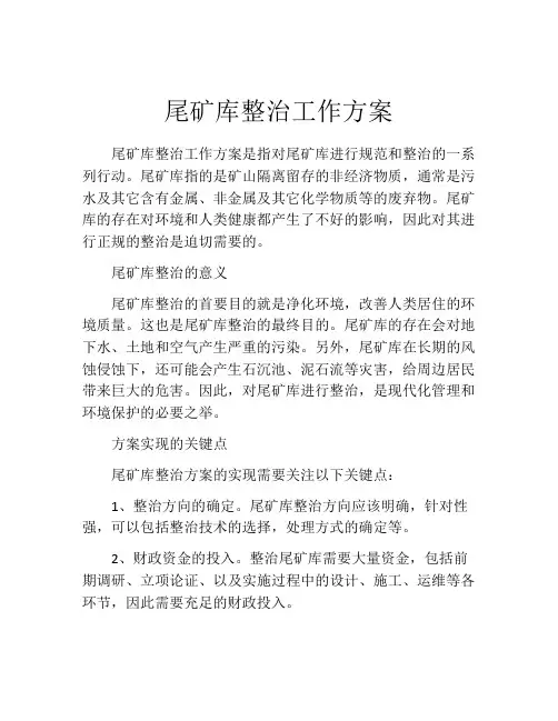 尾矿库整治工作方案