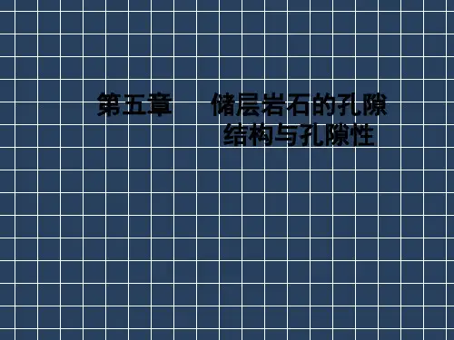 第5章储层岩心的孔腺特性