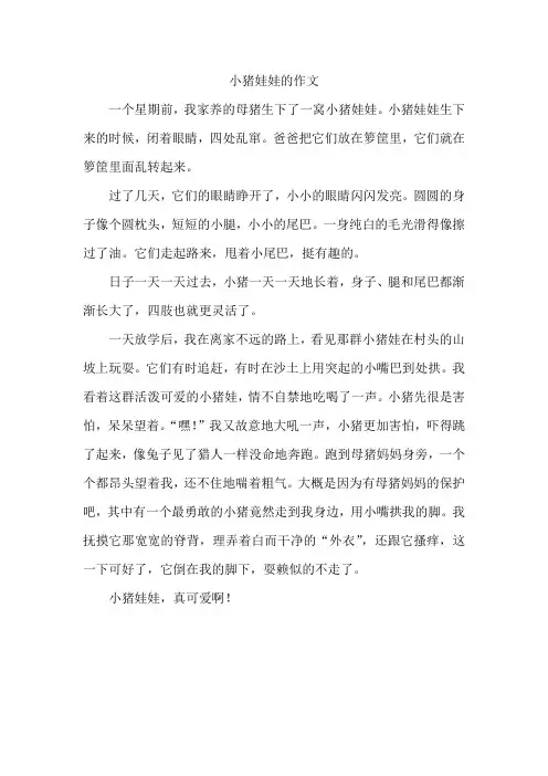 小猪娃娃的作文