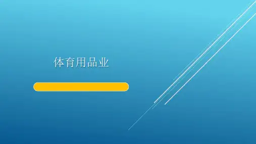 第十章体育用品业——【体育产业经济学】