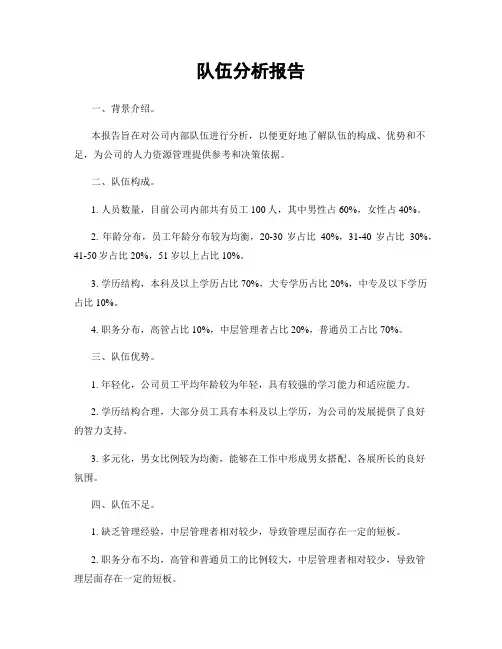 队伍分析报告