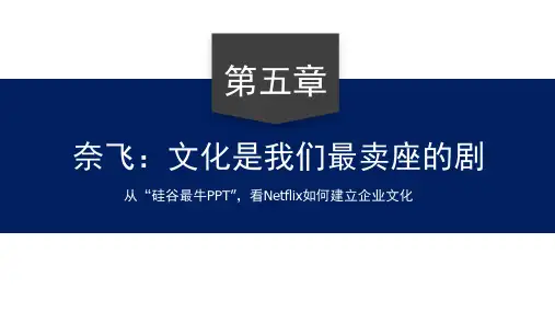 15第五章：【奈飞】文化是我们最卖座的剧