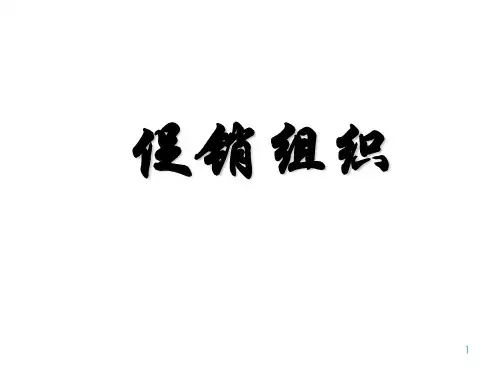 促销活动案例ppt课件