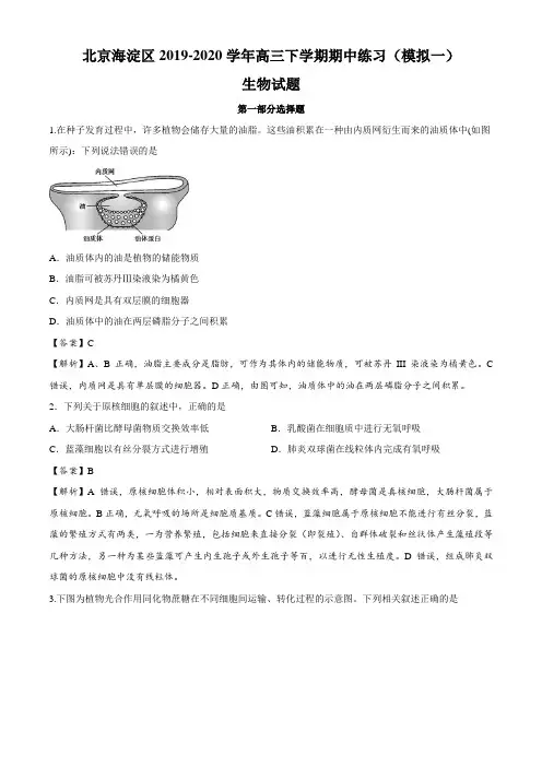 北京海淀区2019-2020学年高三下学期期中练习(模拟一)生物试题(解析版)