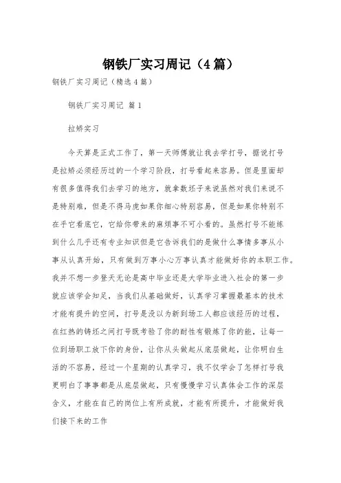 钢铁厂实习周记(4篇)