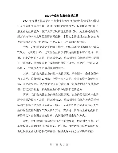 2024年度财务报表分析总结