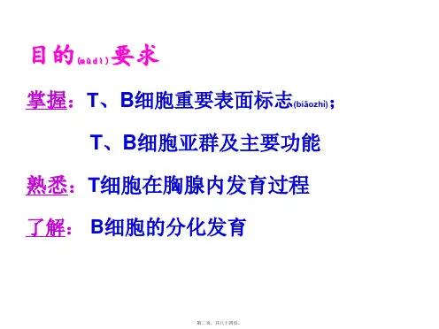 医学专题第9章T淋巴细胞和B淋巴细胞3398