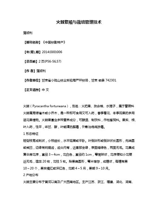 火棘繁殖与栽培管理技术