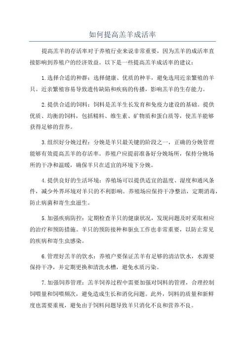 如何提高羔羊成活率
