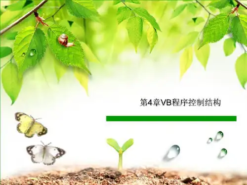 第4章VB程序控制结构