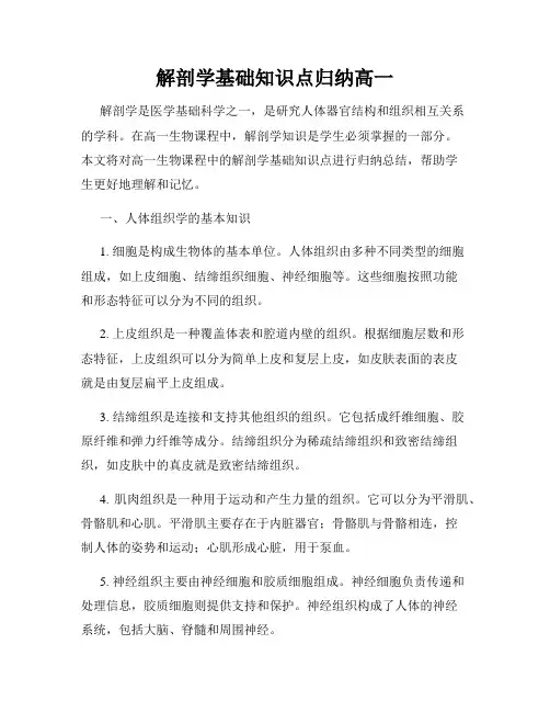 解剖学基础知识点归纳高一
