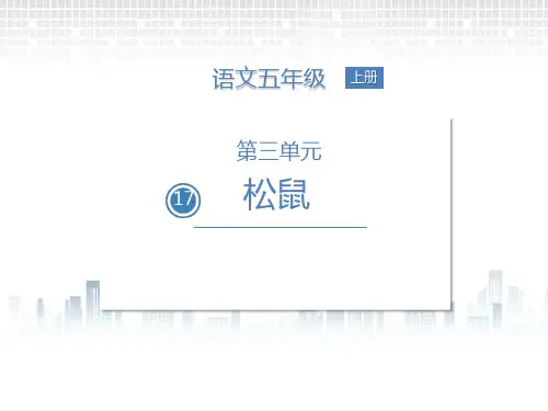统编版五年级语文上册17松鼠课件(12张PPT)