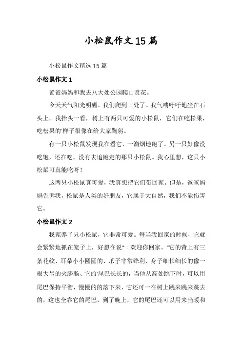 小松鼠作文15篇